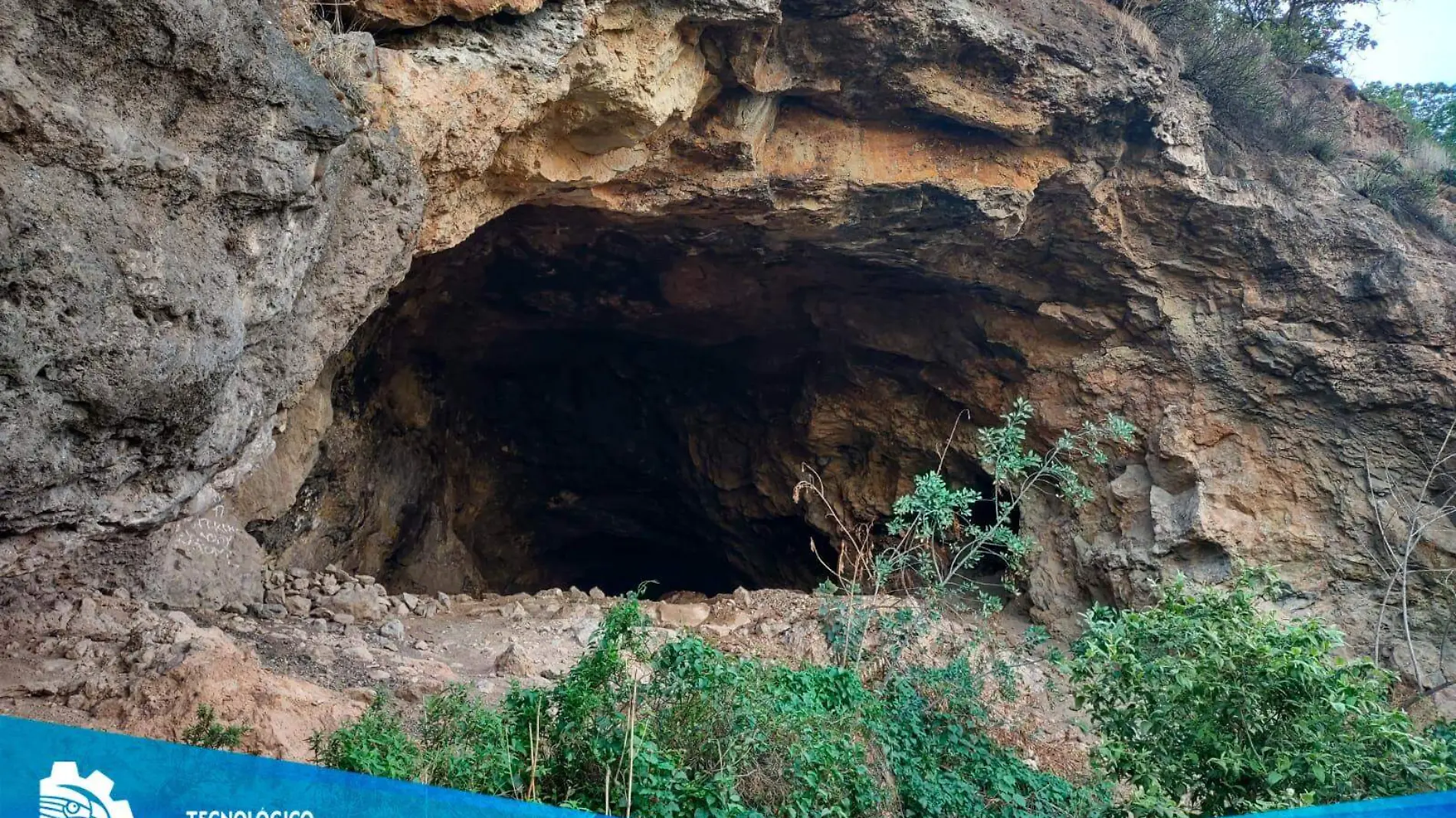 Gran paso hacia la conservación de murciélagos en GTO (2)